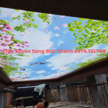 Trần xuyên sáng 3D