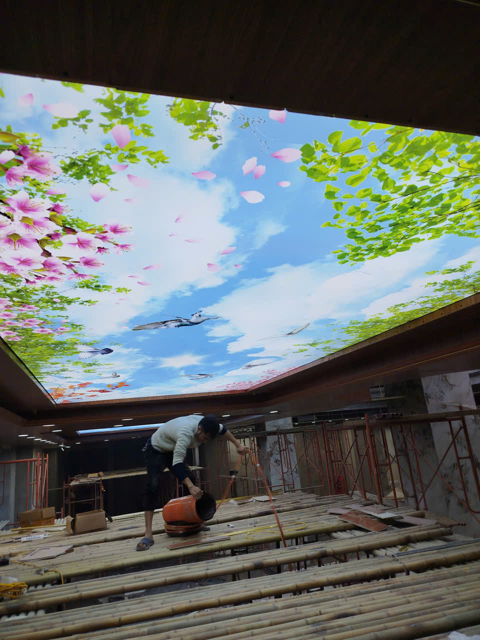 In Trần xuyên sáng 3D