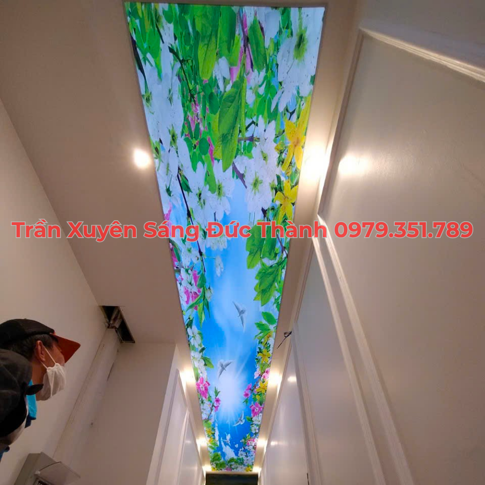  Đặc điểm của trần in xuyên sáng