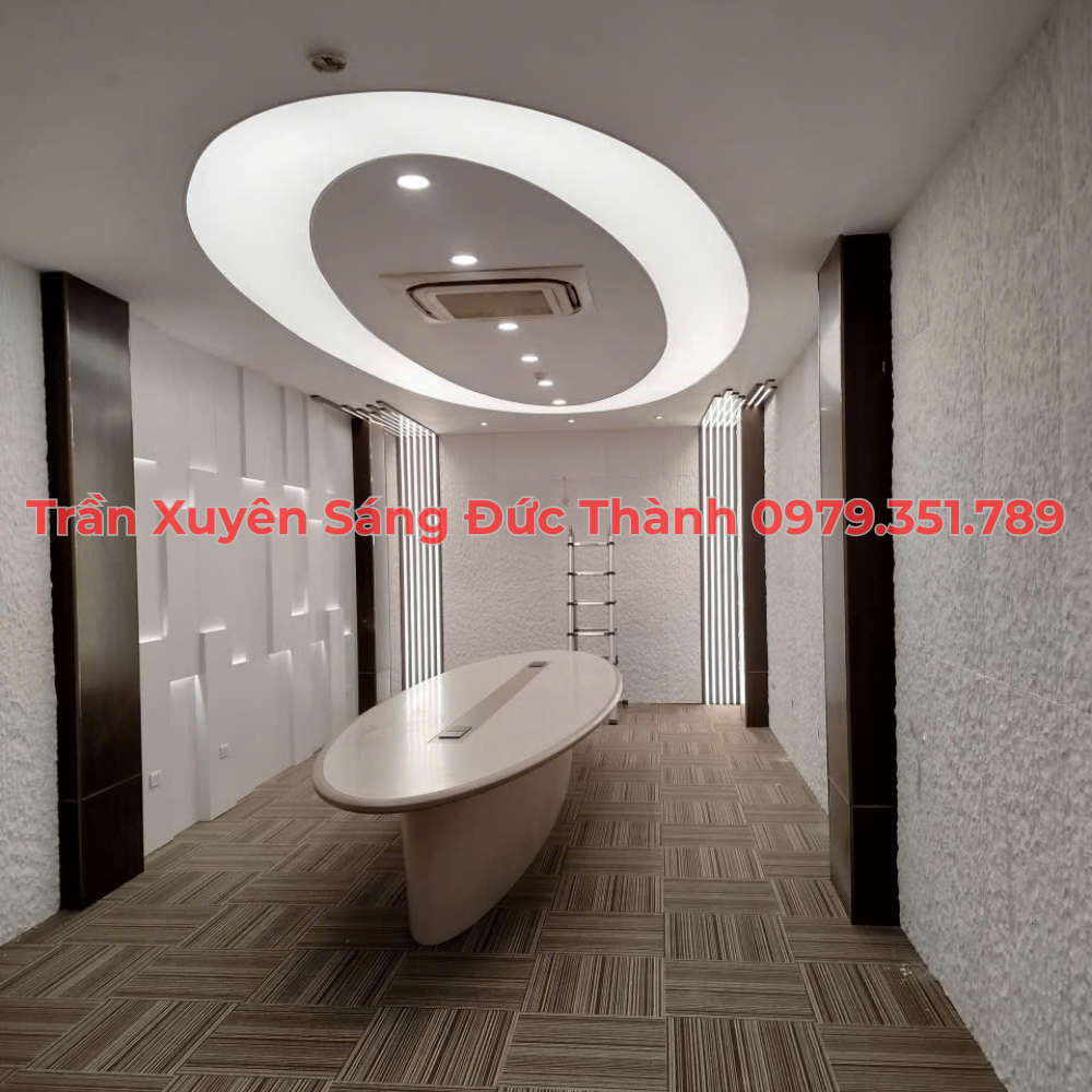 Giới thiệu về trần xuyên sáng Foxygen