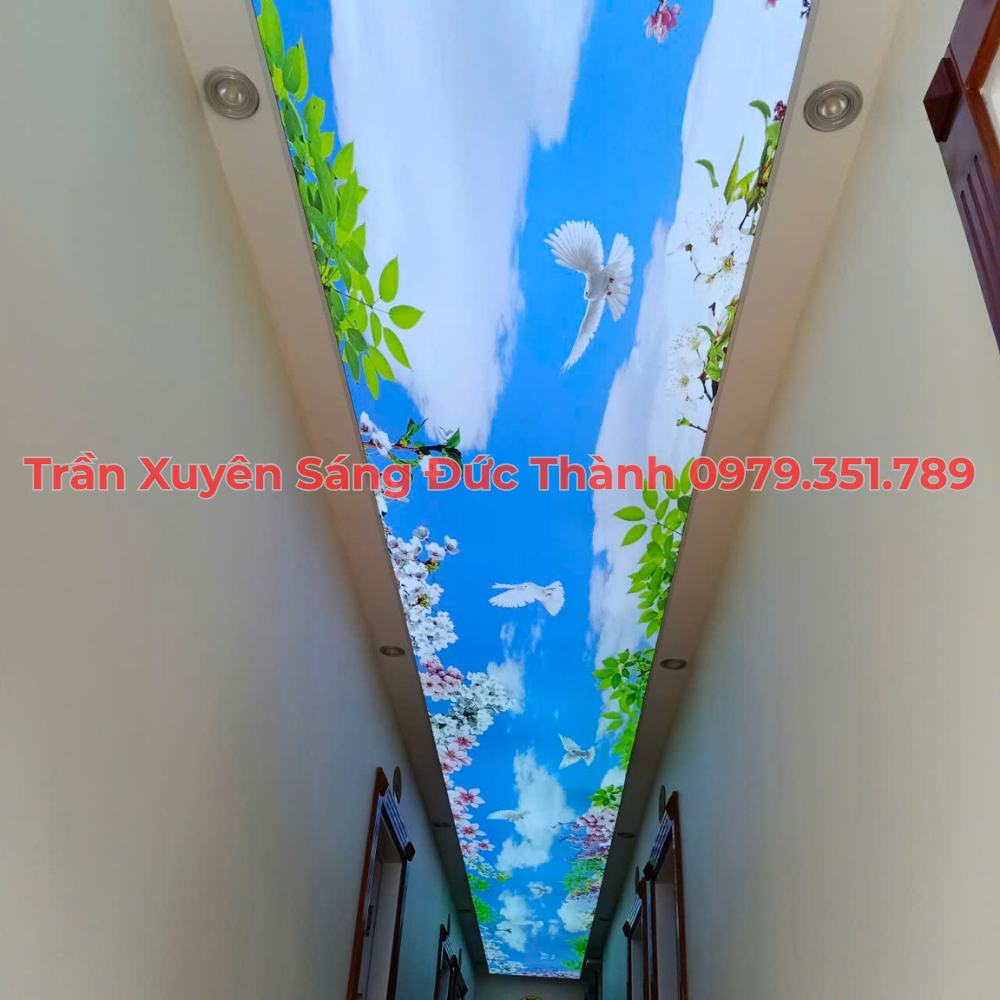 Giới thiệu về trần in xuyên sáng