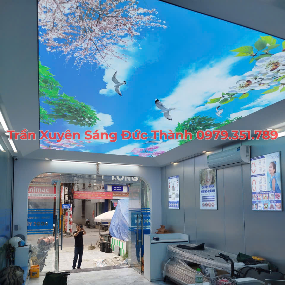 Giới Thiệu Về Trần In Xuyên Sáng